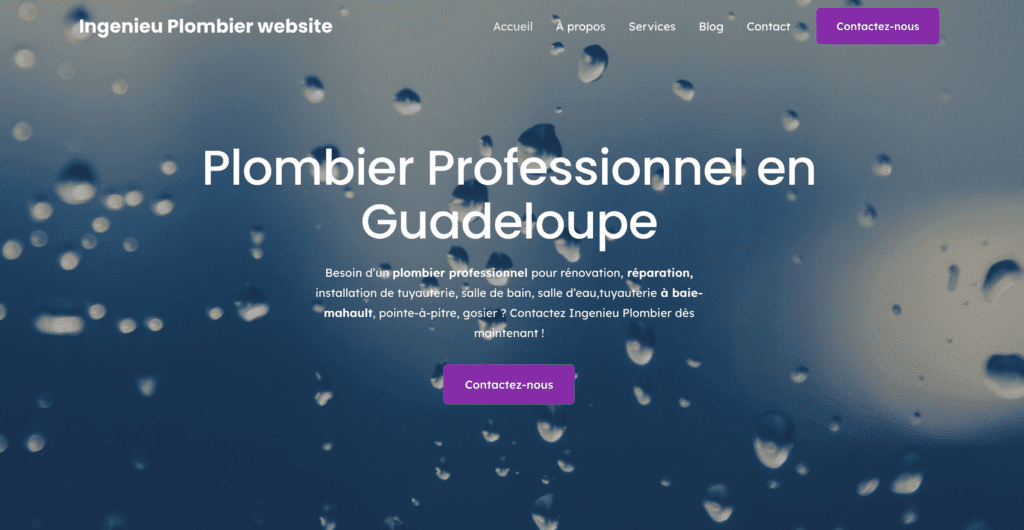DBM.garel_developeur_site_vitrine_wordpress_plombier